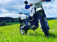 DR650 2023 n.chr.