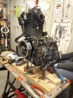 WhatsApp Image 2024-03-04 at 06.35.55.jpeg