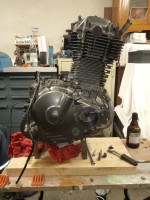 WhatsApp Image 2024-03-04 at 06.35.54 (1).jpeg