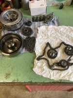 IMG_0495.jpeg