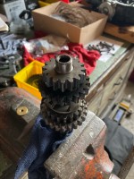 IMG_0523.jpeg
