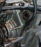 IMG_7602.jpeg