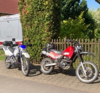 IMG_7762.jpeg (521.22 KiB) 4344 mal betrachtet Fast perfekt die zwei Susen