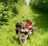 IMG_7815.jpeg (662.13 KiB) 4344 mal betrachtet Eine Schönheit im Grünen