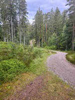 IMG_0939.jpeg