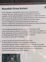 IMG_1044.jpeg