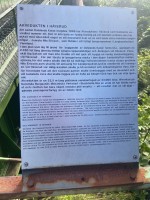 07e64e3c-f87a-47da-be29-cb5c3941c4ae.jpeg