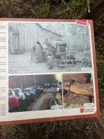IMG_1170.jpeg