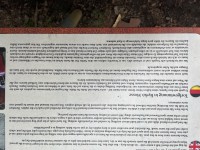 IMG_1107.jpeg