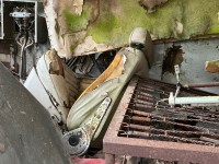IMG_1140.jpeg