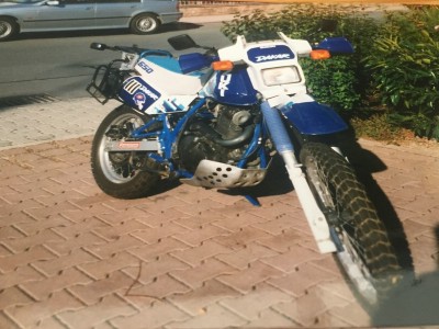DR-03.jpg