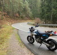 IMG_8317.jpeg
