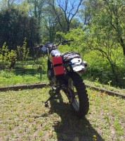 IMG_6541.jpeg