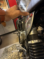 IMG_7812.jpeg