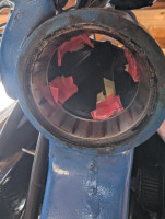 PXL_20250921_124218174.MP.jpg (217.9 KiB) 2342 mal betrachtet Austreiber von unten