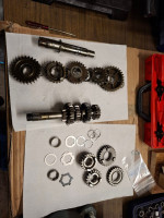 20250126_131036 (1).jpg