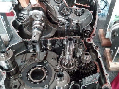 ...besagte Feder sitzt im aufrecht stehenden Gehäuseteil rechts unten!