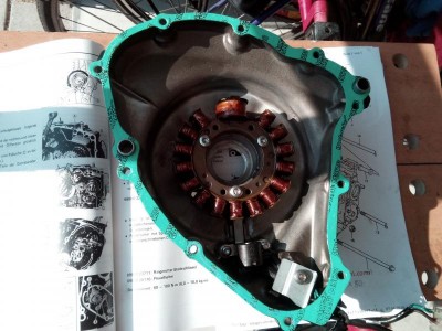 Stator meiner Dakar, Bj. ´90
