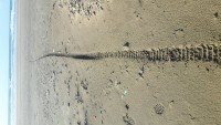 20180110_144911.jpg