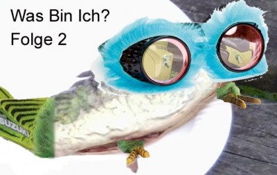 DRfisch.jpg