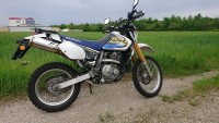 DSC_8141.jpg