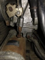 IMG_20200501_204015.jpg
