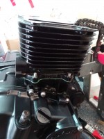 IMG_20200724_130148.jpg (399.82 KiB) 4776 mal betrachtet ....sitzt!