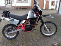 IMG_20201115_145313.jpg