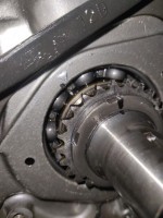 IMG_20201212_150801.jpg