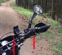 Wald_!4734.jpg