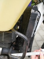 IMG_20210626_134953.jpg