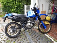 DR 600.jpg
