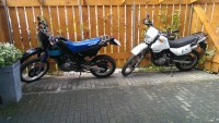 IMAG0443.jpg