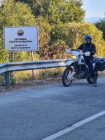 33143345-D74A-4DF7-A9E6-7DF2EA2993D0.jpeg
