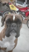 IMG_20201221_213722.jpg