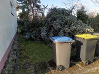 IMG_20220219_094317.jpg (366.21 KiB) 3686 mal betrachtet Die Stand bis gestern Abend noch im Garten. Nun ruht sie in Frieden neben dem Haus. ;)