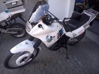 IMG_20220313_151719.jpg