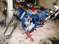 IMG_20220320_160120.jpg