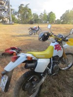 DR 350 original