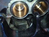 IMG_20200320_183550.jpg (398.54 KiB) 2900 mal betrachtet ...und vorsichtig die Kölbchen eingeführt...