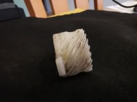 Schnecke-2.jpg