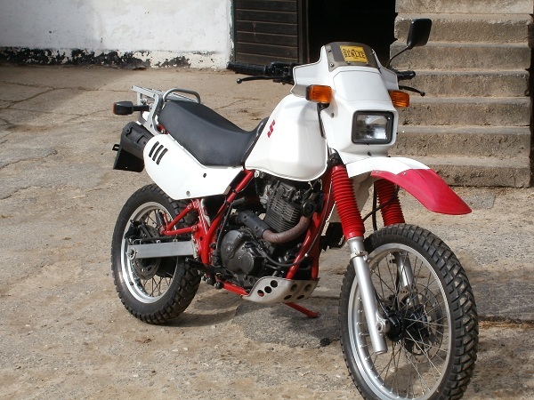 suzuki 001.JPG