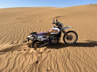 IMG_0081.jpeg