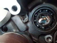 ...hier nochmal ohne AGW..